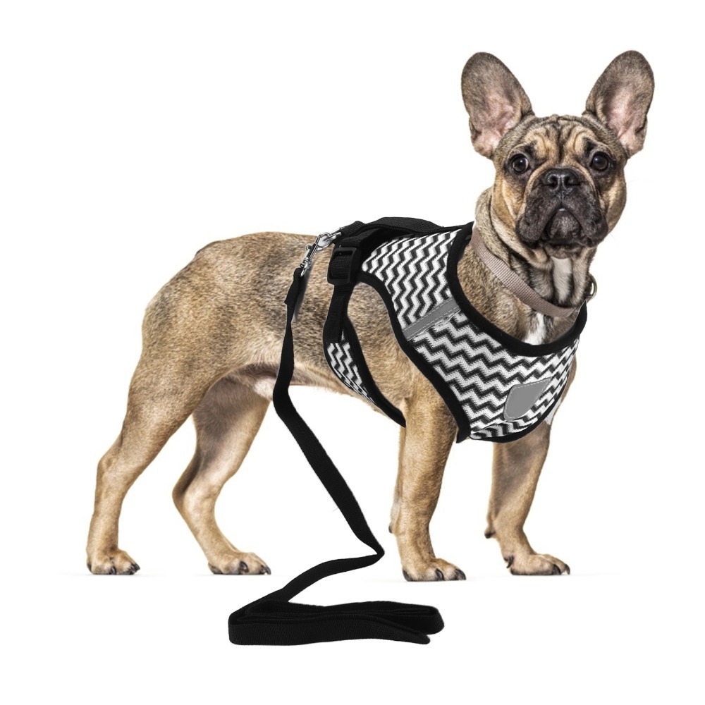 Mesh Fabric Pet Harness Set I- - Fabric Weight Set ulasan dan harga